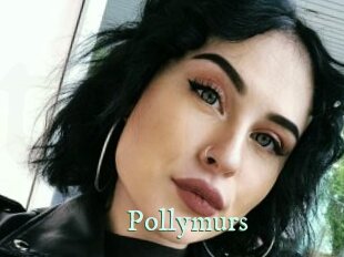 Pollymurs