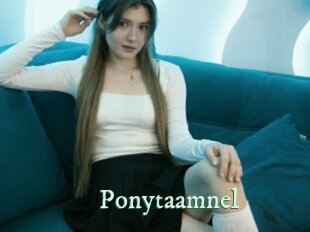 Ponytaamnel