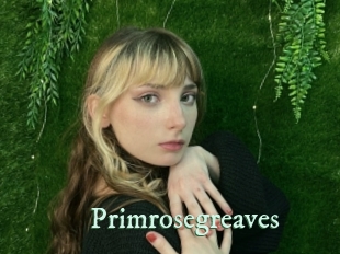 primrosegreaves Top Blog X