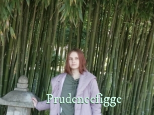 Prudencefigge