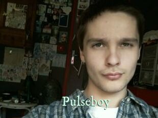 pulseboy Top Blog X