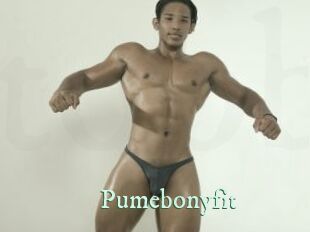 Pumebonyfit