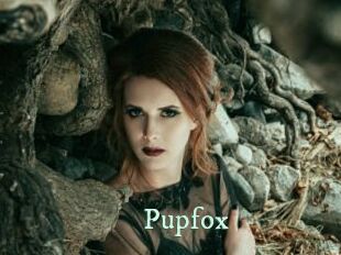 Pupfox