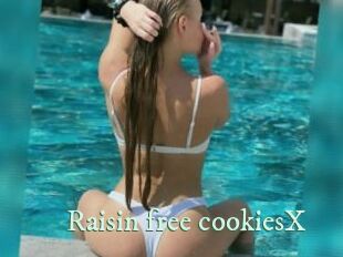 Raisin_free_cookiesX