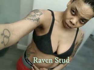 Raven_Stud