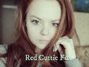 Red_Cuttie_Fox