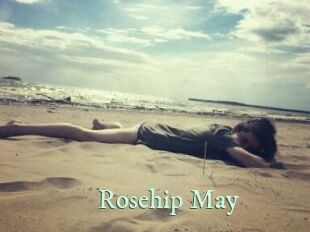 Rosehip_May