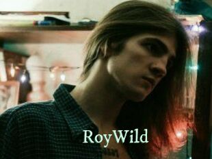 RoyWild