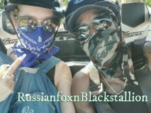 RussianfoxnBlackstallion