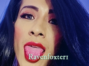 ravenfoxter1 Top Blog X