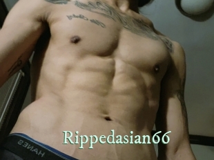 Rippedasian66