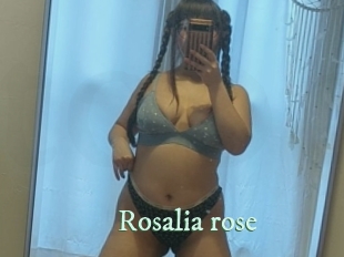 Rosalia_rose