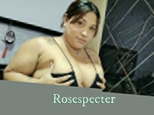 rosespecter Top Blog X