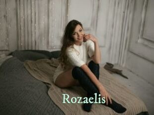 rozaelis Top Blog X