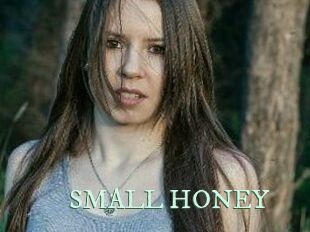 SMALL_HONEY