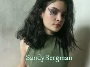 SandyBergman