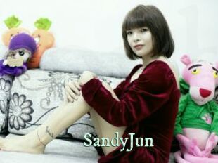 SandyJun