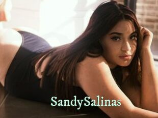 SandySalinas