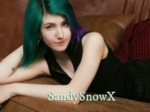 SandySnowX