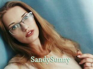 SandySunny