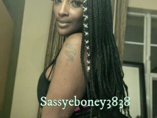 Sassyeboney3838