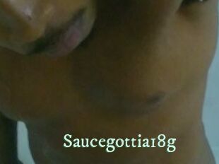 Saucegottia18g