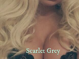 Scarlet_Grey