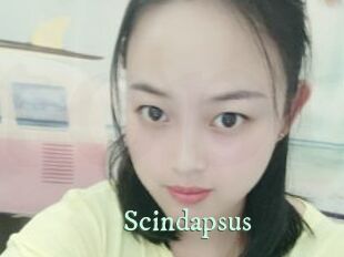 Scindapsus