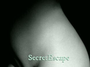 SecretEscape Top Blog X