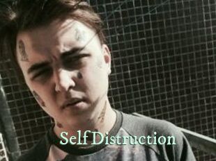 SelfDistruction