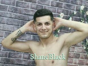 ShaneBlack