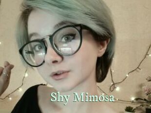 Shy_Mimosa