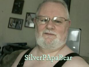 SilverPApaBear