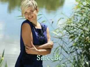 SniceBe Top Blog X