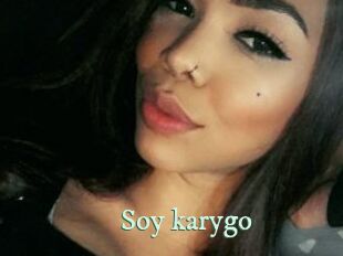 Soy_karygo