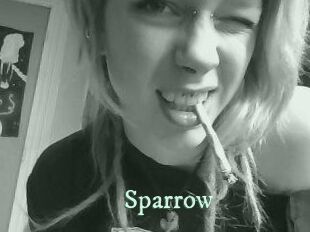 Sparrow