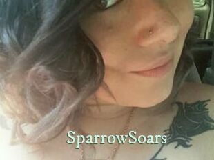 SparrowSoars