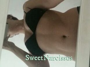 SweetNarcissus Top Blog X