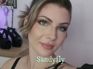 Sandyfly