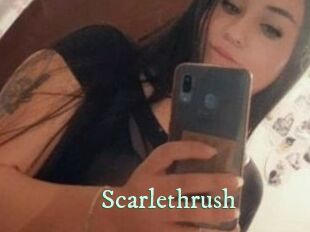 Scarlethrush