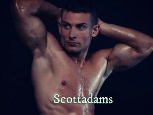 Scottadams