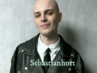 sebastianhort Top Blog X