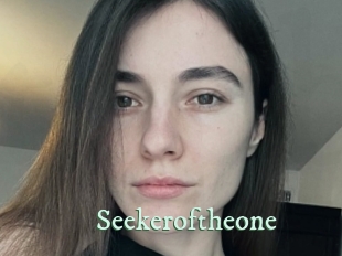 Seekeroftheone