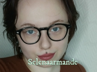 selenaarmande Top Blog X