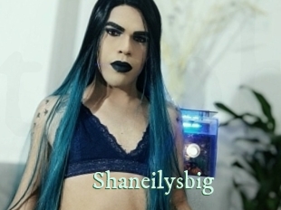 Shaneilysbig