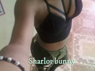 Sharlot_bunny