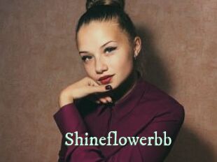 Shineflowerbb