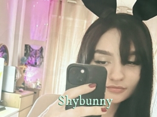 Shybunny