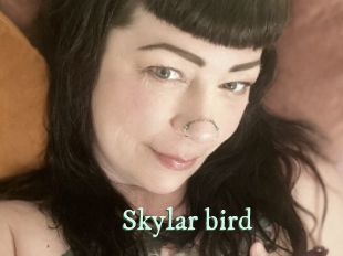 Skylar_bird