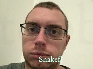 Snakefl